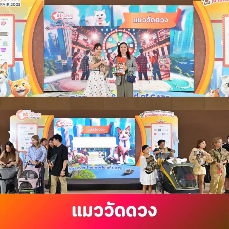 กิจกรรม “แมววัดดวง” สนาม Cat Landmark