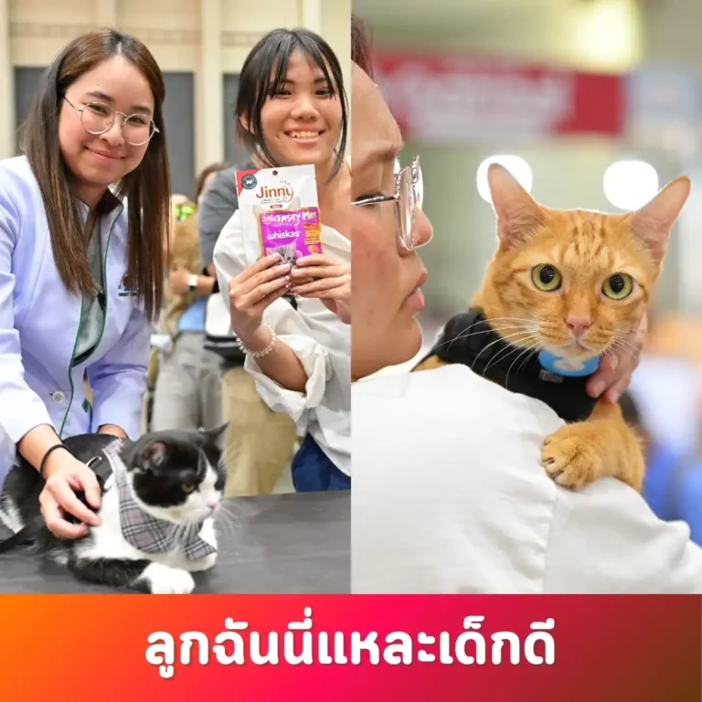 ลูกฉันนี่แหละเด็กดี