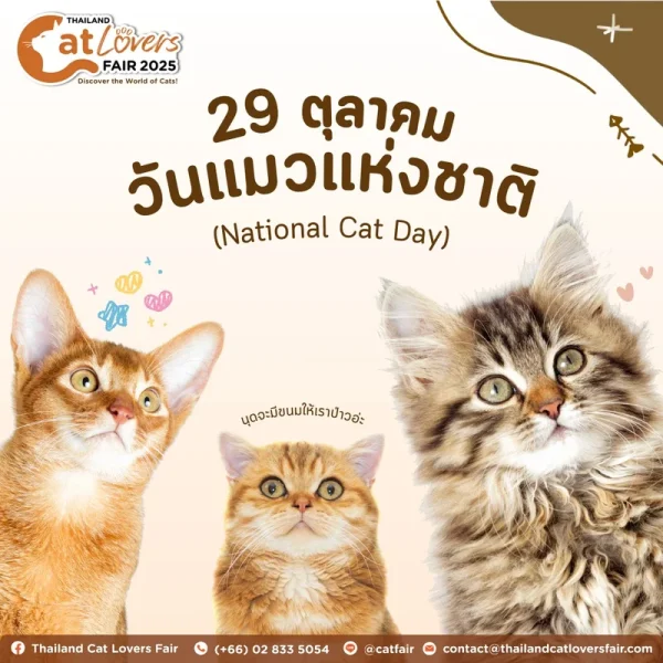 August 8 International Cat Day