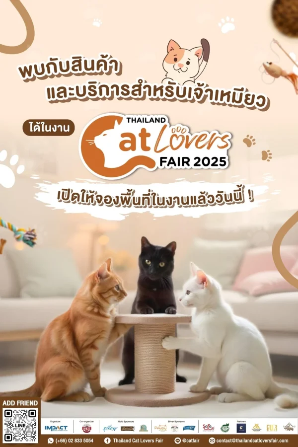 Discover products and services for your beloved feline at the Thailand Cat Lovers Fair 2025