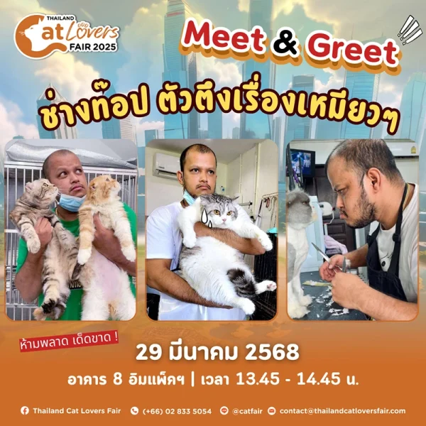 Meet-greet-khun-top-the-ultimate-cat-care-expert-3