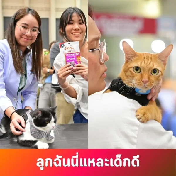 My Child Is a Good Kid