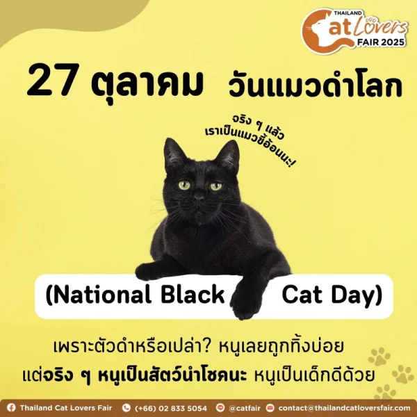 National Black Cat Day